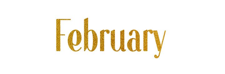 FEBRUARY PNG with metallic gold color on transparent background