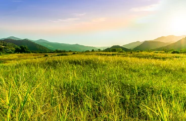 Wandcirkels tuinposter summer of spring landscape of green grass meadow with great beautiful mountains and awersome golden cloudy sunset © Yaroslav