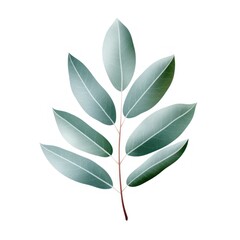 Eucalyptus leaves isolated on white background. illustration. Generative AI