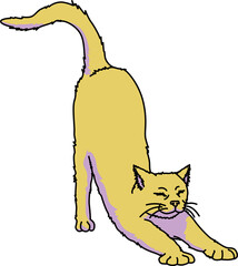 猫（cat）(PNG)
