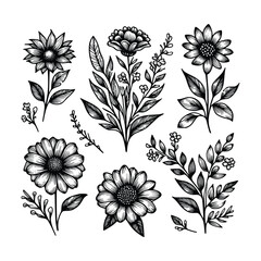 set of floral hand drawn style. flower rose, peony, leaves for decoration. black and white vector flowers  illustration