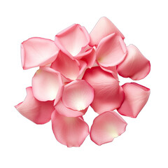 Delicate and Fragrant Rose Petals.. Isolated on a Transparent Background. Cutout PNG.