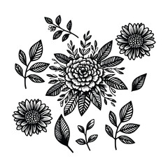 set of floral hand drawn style. flower rose, peony, leaves for decoration. black and white vector flowers  illustration