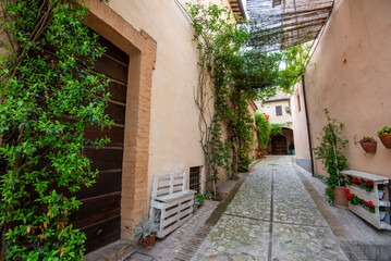 Fototapeta na wymiar Cobblestone Pedestrian Alley in Spello - Italy