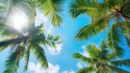 Fototapeta na wymiar paradise tropical summer background illustration vacation surf, coconut hammock, relaxation sunshine paradise tropical summer background