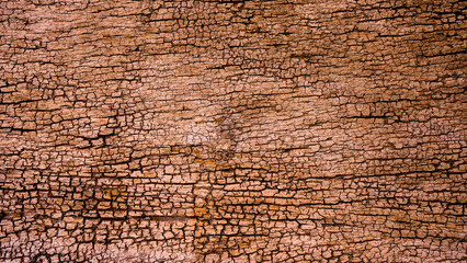 Obraz premium old grunge dark textured wooden background