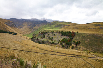 Naklejka premium Reise durch Südamerika. Riobamba in Ecuador. Tour unterhalb des Chimborazo.