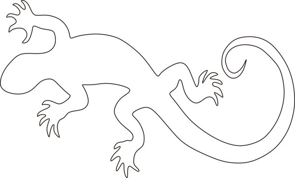 continuous line of lizard animals
