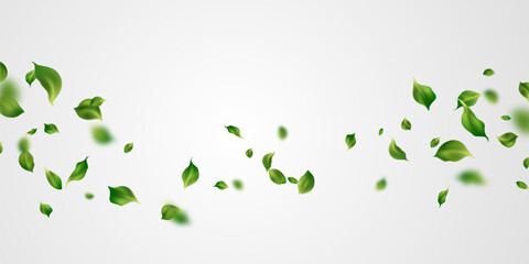 background of fluttering leaves Vector illustration - obrazy, fototapety, plakaty