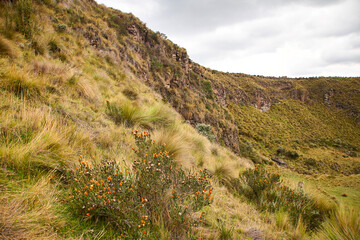Reise durch Südamerika. Riobamba in Ecuador. Tour unterhalb des Chimborazo.