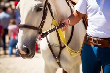 Stoff pro Meter Unrecognizable male equestrian in white attire holding the reins of a white horse at a hippodrome © ADDICTIVE STOCK CORE