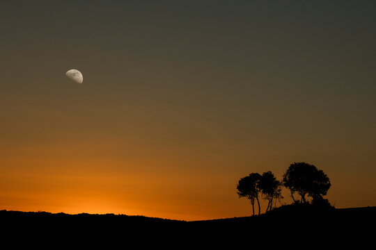 Tranquil sunset and moonrise with silhouette trees