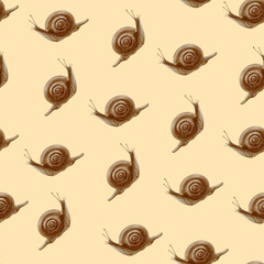 Seamless pattern watercolor snail on peach fuzze background. For your projects, prints, cards, invitations, booklets, notepads, paper, wrapping paper.