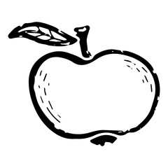 Apple. Line art, doodle, texture outline. Hand drawing. Vector element.