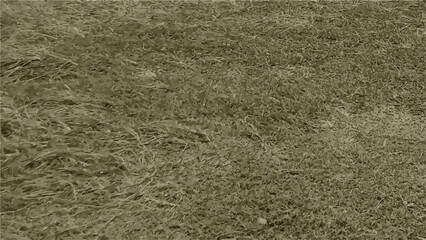 Green Vector watercolor art background. Old paper. Marble. Stone. Beige Camouflage texture design for cloths, flyers, poster, banner. Wall. Brushstrokes and splashes. Painted template green design © Rosen Graphic