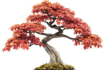 Fototapeta premium Red-Leafed Isolated Tree in a Serene Nature Landscape 