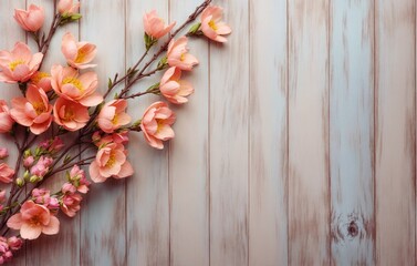 Delicate pink flowers against a soft blue and white wooden background.