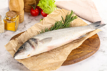 Raw seabass fish for cooking