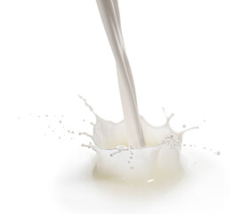 Fresh milk pouring and splashing on white background
