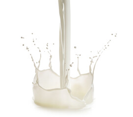 Fresh milk pouring and splashing on white background