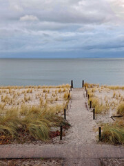 Passage to the beach of the Baltic Sea in Germany - 712236006