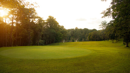 Green grass and woods on a golf field. View of Golf course with beautiful putting green.