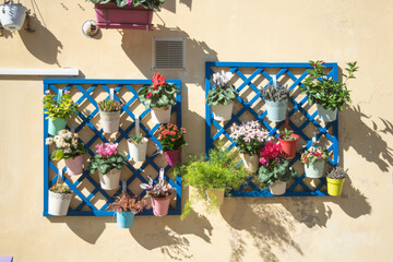 View of pots with flowers hanging on a wall