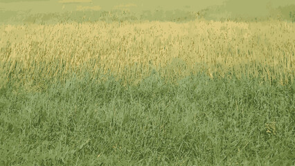 Green Vector watercolor art background. Old paper. Marble. Stone. Beige Camouflage texture design for cloths, flyers, poster, banner. Wall. Brushstrokes and splashes. Painted template green design © Rosen Graphic