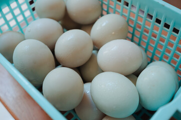 Duck eggs stored in refrigerator after harvested