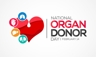 National Donor day is observed every year on February 14, dedicated to spreading awareness and education about organ, eye and tissue donation. Vector illustration
