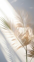palm leaf and shadows on a white background. ai generated