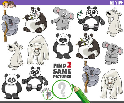 find two same cartoon wild bears animal characters game