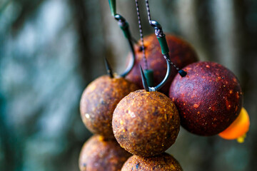 Carpfishing session at the Lake.Carp fishing hooks.Carp fishing rig.The Boilies with fishing hook.