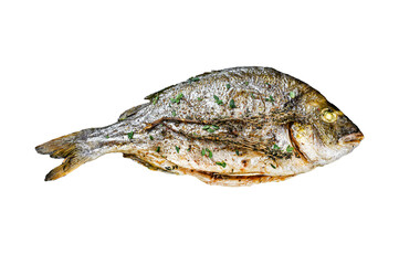 Roasted sea bream  fish with herbs Transparent background. Isolated.