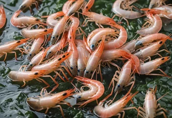 Fotobehang Shrimp breeding farm. Inside a shrimp farm © SR07XC3