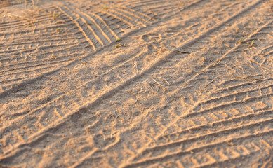 motorcycle and car tire track print on dirt with selective focus