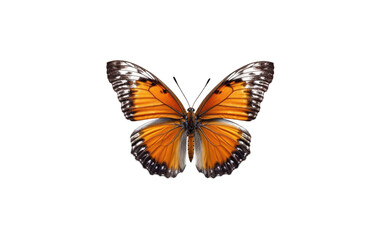 Whimsical Flying Toy Butterfly on Transparent Background