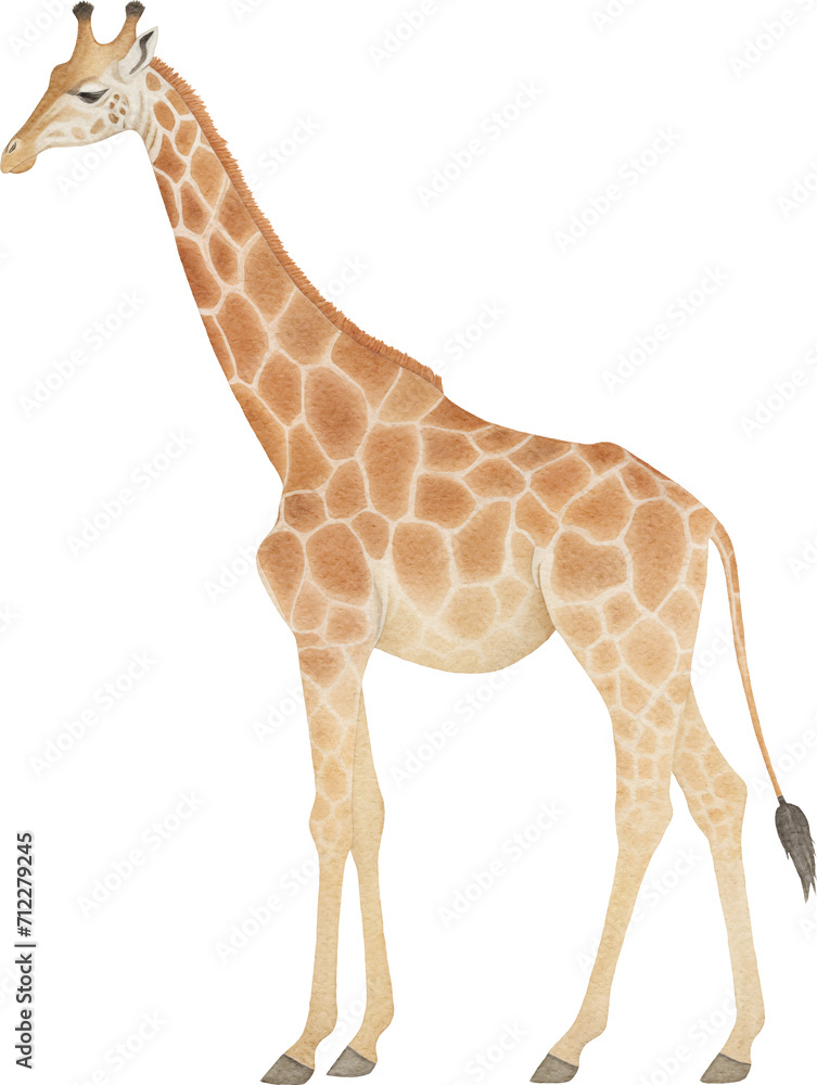 Poster giraffe illustration created with generative ai technology