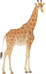 Obraz premium Giraffe illustration created with Generative AI technology