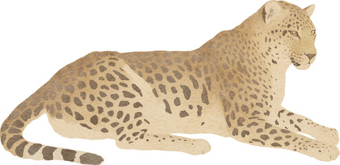 Leopard illustration created with Generative AI technology