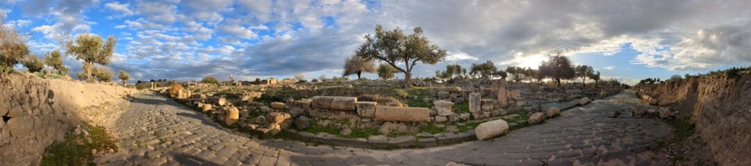 Travelling Jordan.Cultural and natural side of Umm Qais and the ruins of the ancient Gadara.Ancient...