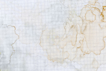 Sheet of squared paper with dried stains from spilled liquid