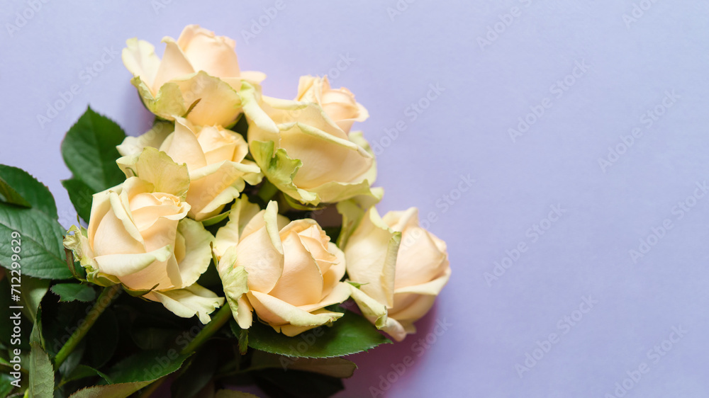 Canvas Prints Cream roses flowers for postcard decoration and festive concept design. Happy birthday, mother's and women's day greeting card with copy space.