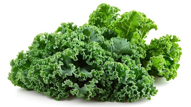 vegetable kale isolated on white background
