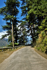 Fototapeta na wymiar Road, Kullu to Naggar, Himachal Pradesh, India, Asia