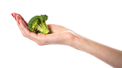 Naklejka na ściany i meble Female hand holds broccoli, isolated on white background