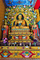 Obraz premium Buddha statue inside Drikung Kagyu Gompa Buddhist Monastery, Rewalsar, Nagar, Mandi, Himachal Pradesh, India, Asia