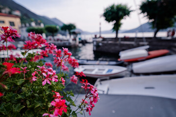 Fototapeta na wymiar Pot with pink flowers on waterfront promenade