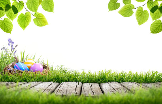 A blank template of three painted easter eggs in a birds nest celebrating a Happy Easter with a wooden bench to place products on with green grass and tree leaves on a transparent background