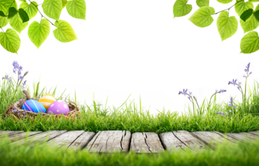 A blank template of three painted easter eggs in a birds nest celebrating a Happy Easter with a wooden bench to place products on with green grass and tree leaves on a transparent background